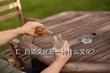 1、白酒文化是一种什么文化？