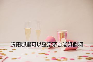 贵阳哪里可以鉴定茅台酒真假啊