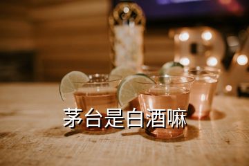 茅台是白酒嘛