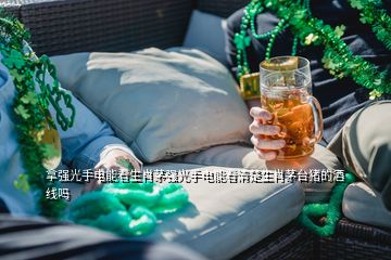 拿强光手电能看生肖茅强光手电能看清楚生肖茅台猪的酒线吗