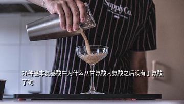 20种基本氨基酸中为什么从甘氨酸丙氨酸之后没有丁氨酸了呢