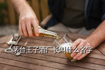 茅台王子酒厂长叫什么名字