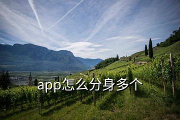 app怎么分身多个