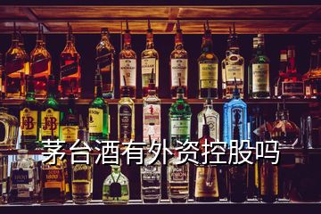 茅台酒有外资控股吗