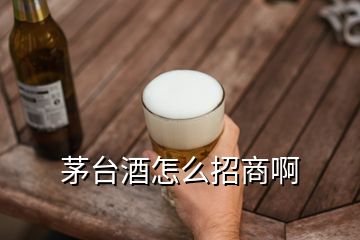 茅台酒怎么招商啊