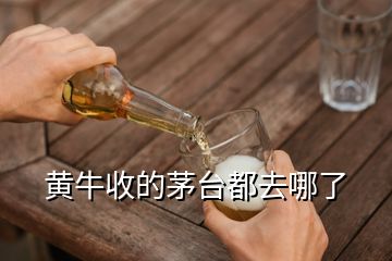 黄牛收的茅台都去哪了