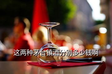 这两种茅台镇酒分别多少钱啊