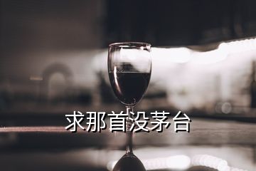 求那首没茅台