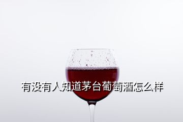 有没有人知道茅台葡萄酒怎么样