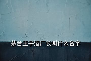 茅台王子酒厂长叫什么名字