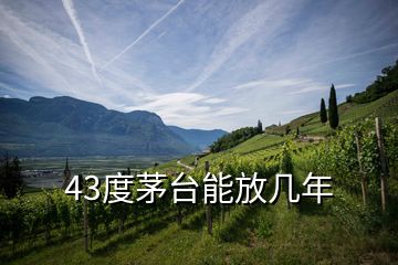 43度茅台能放几年