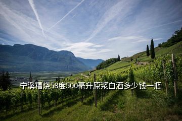 宁溪糟烧58度500毫升原浆白酒多少钱一瓶