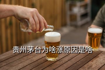 贵州茅台为啥涨原因是啥