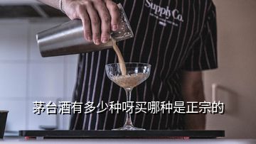 茅台酒有多少种呀买哪种是正宗的