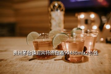 贵州茅台镇迎宾特质白酒50480mlx2价钱