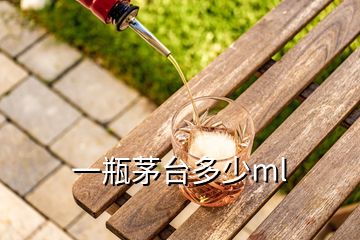 一瓶茅台多少ml