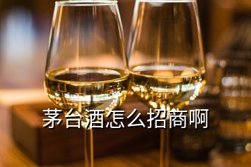 茅台酒怎么招商啊