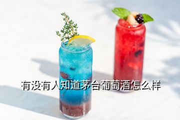 有没有人知道茅台葡萄酒怎么样