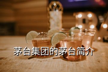 茅台集团的茅台简介