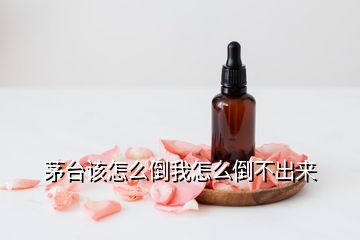 茅台该怎么倒我怎么倒不出来