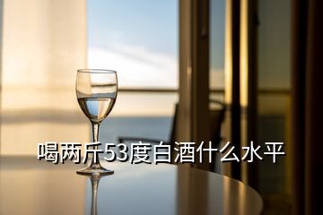 喝两斤53度白酒什么水平