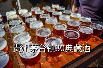 贵州茅台镇30典藏酒