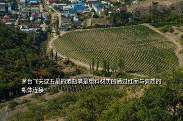 茅台飞天或五星的酒瓶嘴是塑料材质的通过红圈与瓷质的瓶体连接