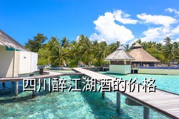 四川醉江湖酒的价格