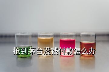 抢到茅台没钱付款怎么办