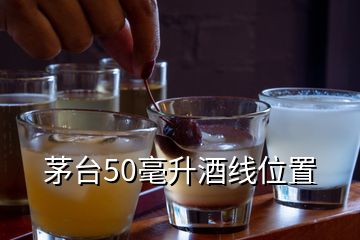 茅台50毫升酒线位置