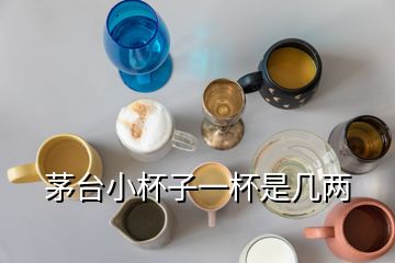 茅台小杯子一杯是几两