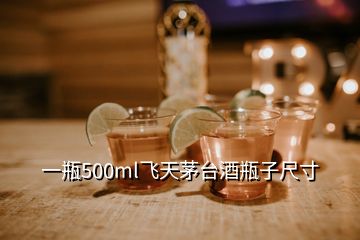 一瓶500ml飞天茅台酒瓶子尺寸