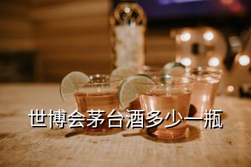 世博会茅台酒多少一瓶