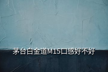 茅台白金道M15口感好不好