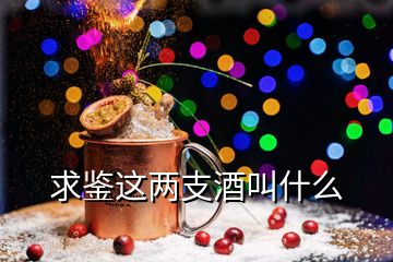 求鉴这两支酒叫什么