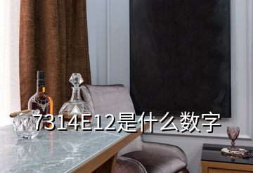 7314E12是什么数字