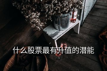 什么股票最有升值的潜能