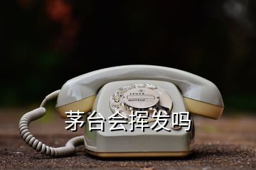 茅台会挥发吗