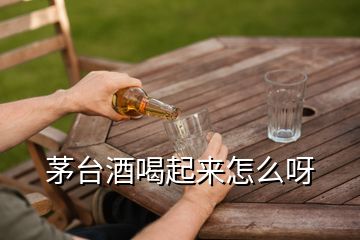 茅台酒喝起来怎么呀