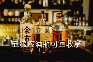 五粮液酒瓶可回收拿