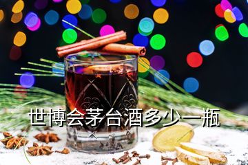 世博会茅台酒多少一瓶