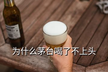 为什么茅台喝了不上头