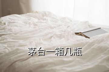 茅台一箱几瓶