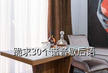 跪求30个谐音歇后语