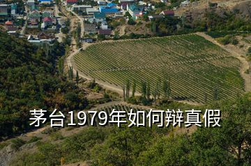 茅台1979年如何辩真假