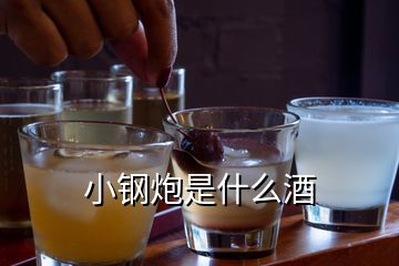 小钢炮是什么酒