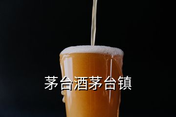 茅台酒茅台镇