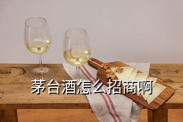 茅台酒怎么招商啊