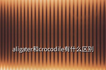 aligater和crocodile有什么区别