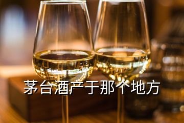 茅台酒产于那个地方